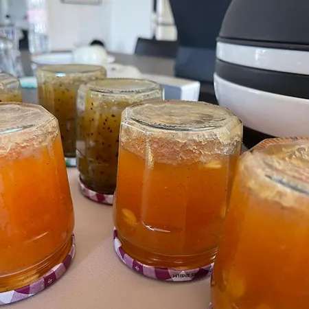 Les 15 Chenes D Hotes, Parc Arbore De 5000 M2 A 20km Du Puydufou Familiale Et 3 Doubles Bed & Breakfast 4*